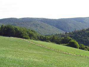 Der Nationalpark Eifel ... Blick von Morsbach aus.